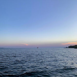 Meet your Posher, Annie